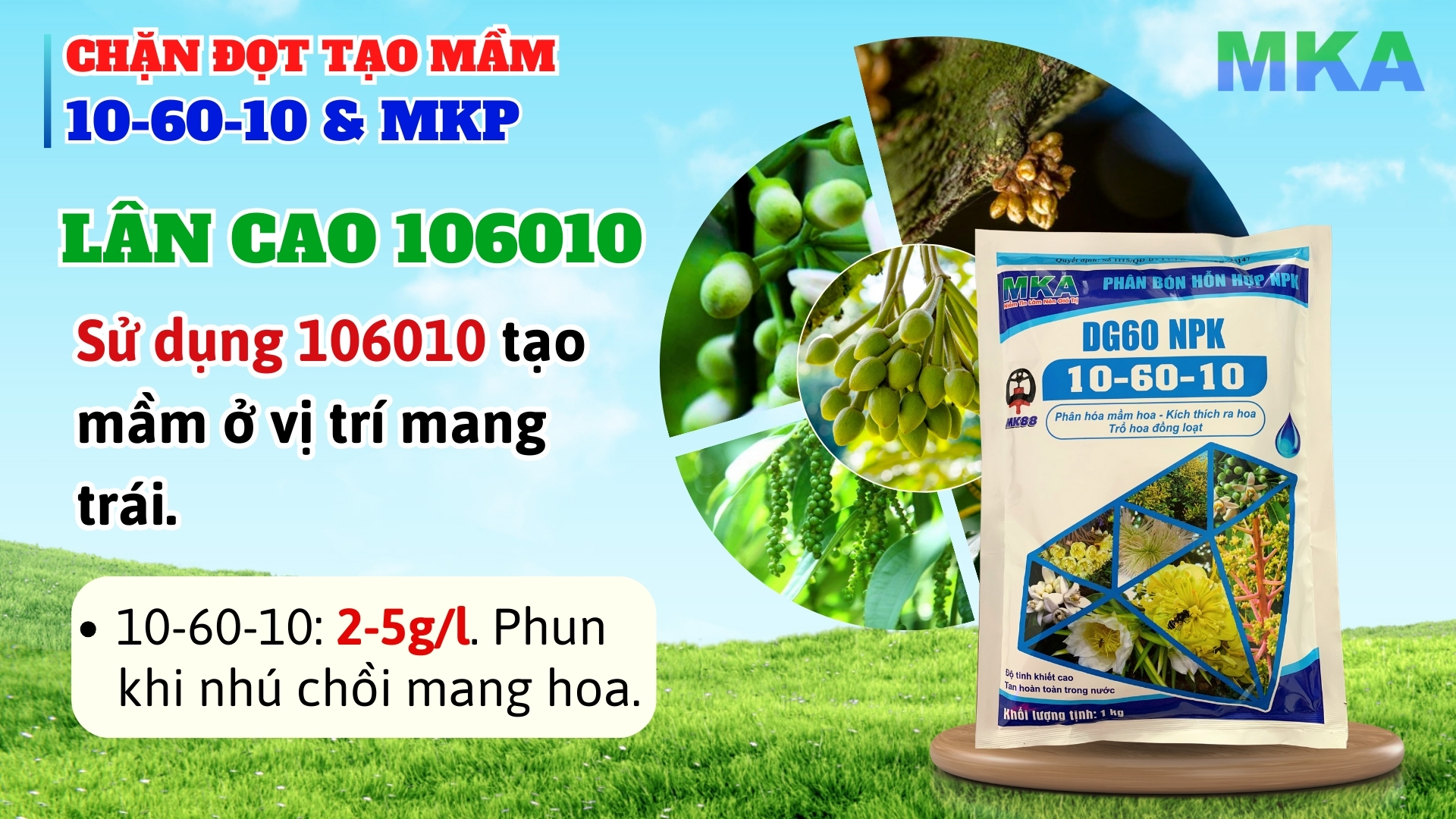 Lân cao 10-60-10 MKA chặn đọt tạo mầm kích thích ra hoa 